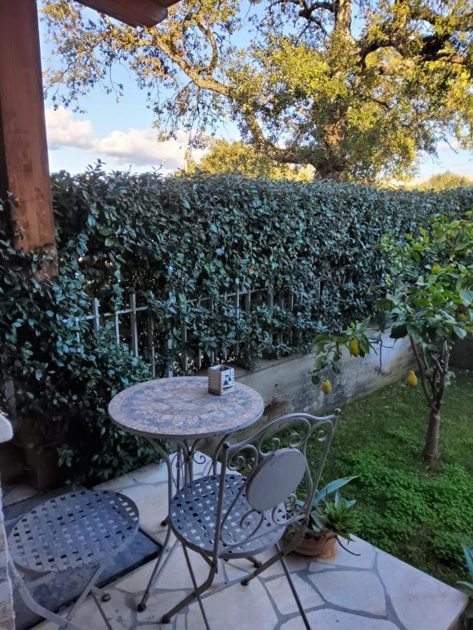 Lulamax Sardegna Olbia Exteriér fotografie